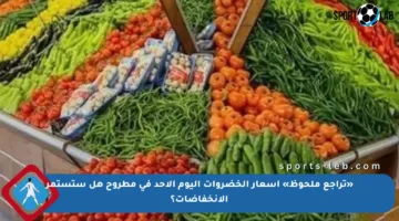 «تراجع ملحوظ» أسعار الخضروات اليوم الأحد في مطروح هل ستستمر الانخفاضات؟